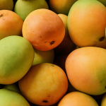 Organic Mangoes