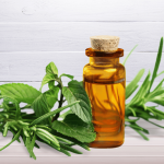 Tea Tree Oil